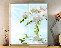 Наклейка на шкаф-купе 220 х 102 см на 2 двери белые орхидеи (БП_а_fl102167)