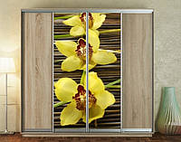 Наклейка на шкаф-купе 220 х 60 см на 2 двери желтые орхидеи (БП_а_fl102168)