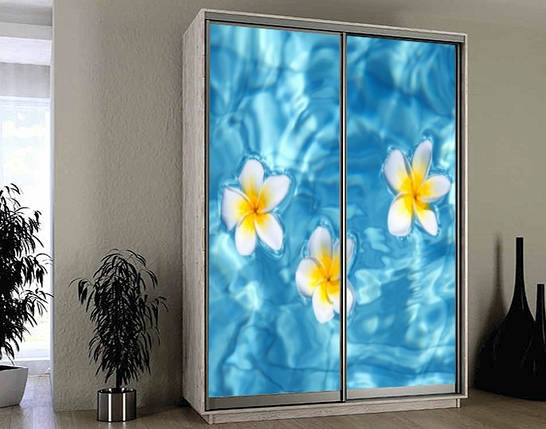 Наклейка на шафу-купе 220 х 74 см на 2 двері  Плюмерія (БП_а_fl12957), фото 1