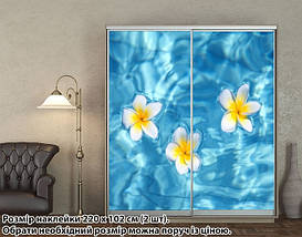 Наклейка на шафу-купе 220 х 74 см на 2 двері  Плюмерія (БП_а_fl12957), фото 2