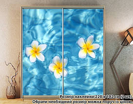 Наклейка на шафу-купе 220 х 74 см на 2 двері  Плюмерія (БП_а_fl12957), фото 3