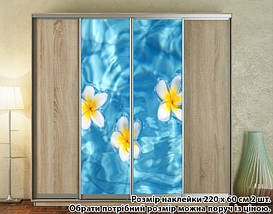 Наклейка на шафу-купе 220 х 74 см на 2 двері  Плюмерія (БП_а_fl12957), фото 4