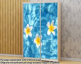 Наклейка на шафу-купе 220 х 74 см на 2 двері  Плюмерія (БП_а_fl12957), фото 5