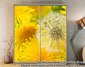 Наклейка на шафу-купе 220 х 74 см на 2 двері Кульбаби (БП_а_fl102175), фото 4