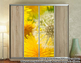 Наклейка на шафу-купе 220 х 74 см на 2 двері Кульбаби (БП_а_fl102175), фото 5