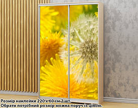 Наклейка на шафу-купе 220 х 74 см на 2 двері Кульбаби (БП_а_fl102175), фото 6