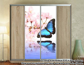 Наклейка на шафу-купе 220 х 102 см на 2 двері метелик (БП_а_fl12961), фото 5