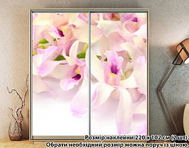 Наклейка на шафу-купе 220 х 60 см на 2 двері Орхідеї (БП_а_fl12965), фото 5
