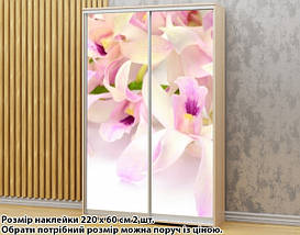 Наклейка на шафу-купе 220 х 60 см на 2 двері Орхідеї (БП_а_fl12965), фото 6