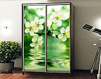 Наклейка на шкаф-купе 220 х 74 см на 2 двери цветы яблони (БП_а_fl12984)
