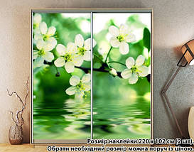 Наклейка на шафу-купе 220 х 74 см на 2 двері Квіти яблуні (БП_а_fl12984), фото 4