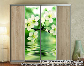 Наклейка на шафу-купе 220 х 74 см на 2 двері Квіти яблуні (БП_а_fl12984), фото 5