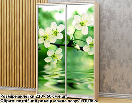 Наклейка на шафу-купе 220 х 74 см на 2 двері Квіти яблуні (БП_а_fl12984), фото 6