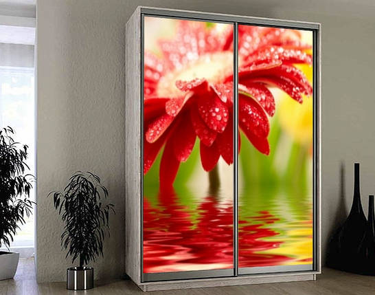 Наклейка на шафу-купе 220 х 74 см на 2 двері гербера (БП_а_fl102193), фото 1