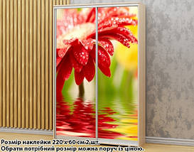Наклейка на шафу-купе 220 х 74 см на 2 двері гербера (БП_а_fl102193), фото 2