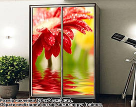 Наклейка на шафу-купе 220 х 74 см на 2 двері гербера (БП_а_fl102193), фото 3