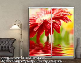 Наклейка на шафу-купе 220 х 74 см на 2 двері гербера (БП_а_fl102193), фото 4