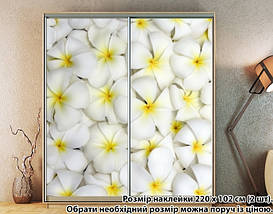 Наклейка на шафу-купе 220 х 60 см на 2 двері Плюмерія (БП_а_fl102226), фото 4