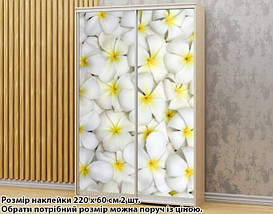 Наклейка на шафу-купе 220 х 60 см на 2 двері Плюмерія (БП_а_fl102226), фото 5