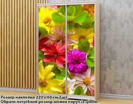 Наклейка на шафу-купе 220 х 74 см на 2 двері  квіти (БП_а_fl13072), фото 2