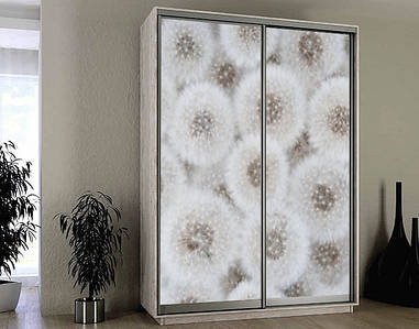 Наклейка на шафу-купе 220 х 60см на 2 двері  Кульбаби (БП_а_fl102300)