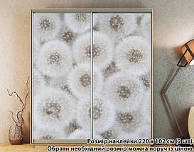 Наклейка на шафу-купе 220 х 74 см на 2 двері Кульбаби (БП_а_fl102300), фото 6