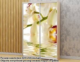 Наклейка на шафу-купе 220 х 60 см на 2 двері  Орхідеї (БП_а_fl13086), фото 2