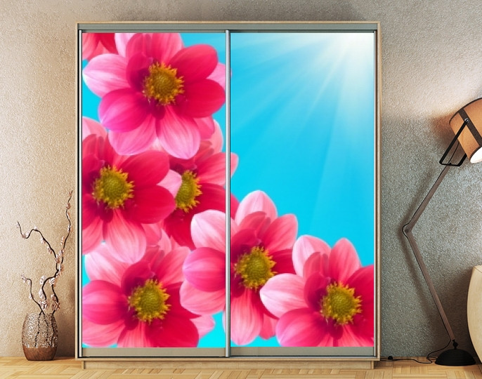 Наклейка на шафу-купе 220 х 102 см на 2 двері квіти (БП_а_fl102308)