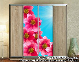 Наклейка на шафу-купе 220 х 102 см на 2 двері квіти (БП_а_fl102308), фото 2