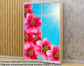 Наклейка на шафу-купе 220 х 102 см на 2 двері квіти (БП_а_fl102308), фото 3