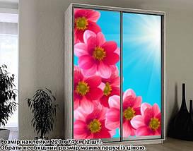 Наклейка на шафу-купе 220 х 102 см на 2 двері квіти (БП_а_fl102308), фото 4