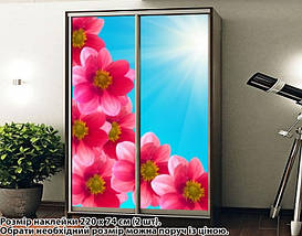Наклейка на шафу-купе 220 х 102 см на 2 двері квіти (БП_а_fl102308), фото 5