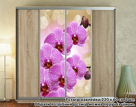 Наклейка на шафу-купе 220 х 102 см на 2 двері Орхідеї (БП_а_fl13114), фото 5