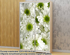 Наклейка на шафу-купе 220 х 74 см на 2 двері Хризантеми (БП_а_fl102357), фото 6
