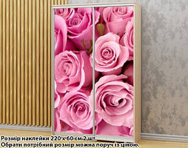 Наклейка на шафу-купе 220 х 74 см на 2 двері рожеві троянди (БП_а_fl13167), фото 5