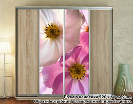 Наклейка на шафу-купе 220 х 102 см на 2 двері фрезія (БП_а_fl13176), фото 5