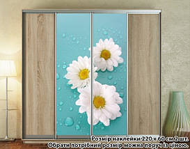 Наклейка на шафу-купе 220 х 60 см на 2 двері Білі ромашки (БП_а_fl102371), фото 3