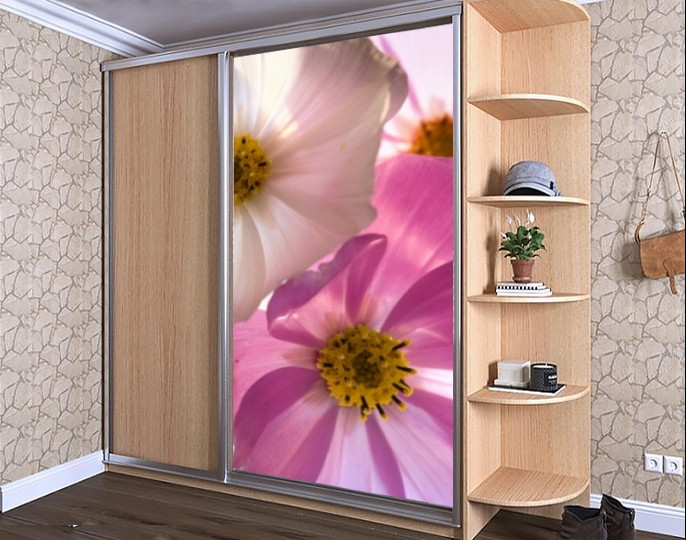 Наклейка на Шкаф-купе 220 Х 102 См на 1 Дверь Фрезия (БП_с_fl13176 ...