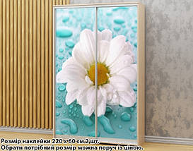 Наклейка на шафу-купе 220 х 60 см на 2 двері ромашка (БП_а_fl102407), фото 3