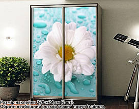 Наклейка на шафу-купе 220 х 60 см на 2 двері ромашка (БП_а_fl102407), фото 5