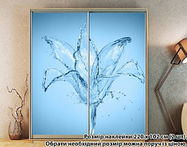 Наклейка на шафу-купе 220 х 74 см на 2 двері водяна лілія (БП_а_fl13194), фото 6