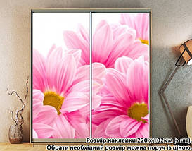 Наклейка на шафу-купе 220 х 60 см на 2 двері Гербери (БП_а_fl13218), фото 5