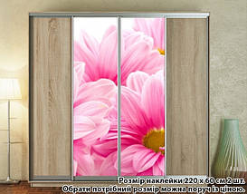 Наклейка на шафу-купе 220 х 60 см на 2 двері Гербери (БП_а_fl13218), фото 6
