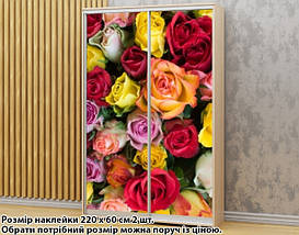 Наклейка на шафу-купе 220 х 60 см на 2 двері троянди (БП_а_fl13299), фото 6