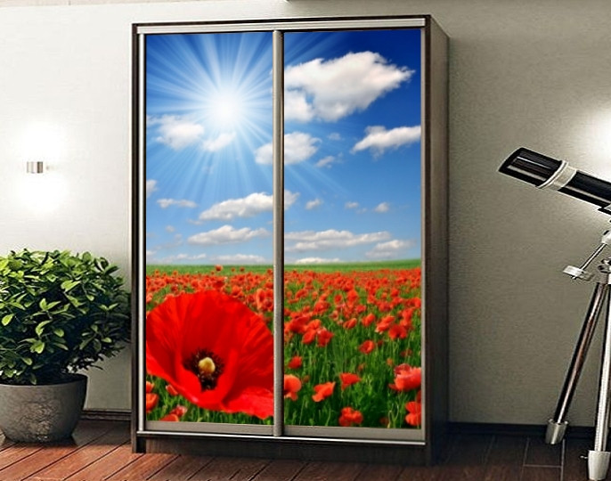 Наклейка на Шкаф-купе 220 Х 74 См на 2 Двери Маки (БП_а_fl102476 ...