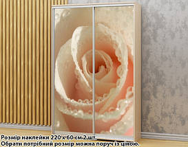Наклейка на шафу-купе 220 х 102 см на 2 двері Біла троянда з краплями (БП_а_fl13329), фото 4