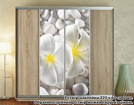 Наклейка на шафу-купе 220 х 102 см на 2 двері Плюмерія (БП_а_fl102498), фото 6