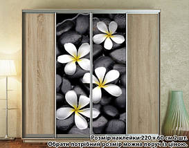 Наклейка на шафу-купе 220 х 74 см на 2 двері Плюмерія (БП_а_fl102529), фото 5