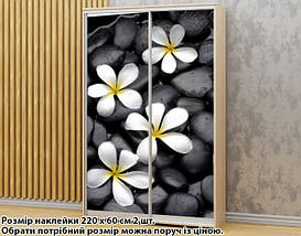 Наклейка на шафу-купе 220 х 74 см на 2 двері Плюмерія (БП_а_fl102529), фото 6