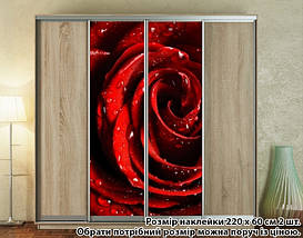 Наклейка на шафу-купе 220 х 102 см на 2 двері троянда (БП_а_fl102531), фото 4